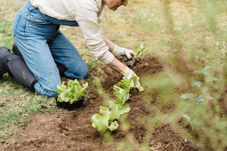 Why You Should Take Agricultural Science