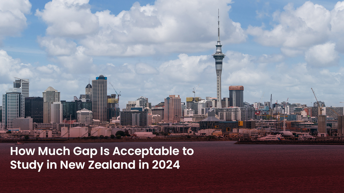 03 Blog How Much Gap Is Acceptable to Study in New Zealand in 2024